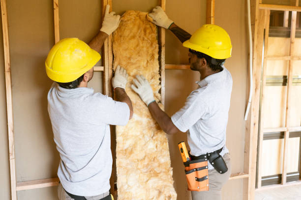 Best Insulation Contractors for Homes  in Toro Nyon, CA