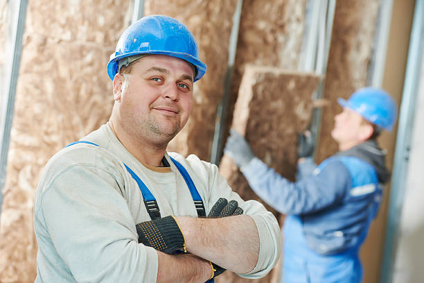 Best Insulation Inspection Services  in Toro Nyon, CA