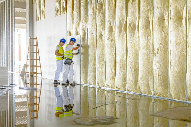 Best Affordable Insulation Services  in Toro Nyon, CA